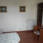 Lucciola 3*