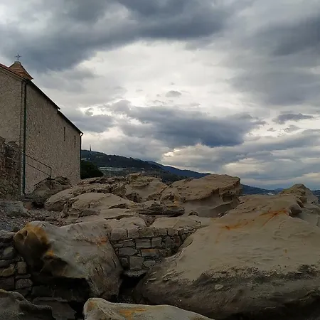 Lucciola Бордигера